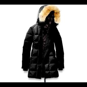 Authentic Canada Goose Beechwood Black Label Parka